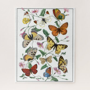 Vlinder & Moth Le Jardin Des Plantes Gervais Legpuzzel