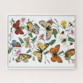 Vlinder & Moth Le Jardin Des Plantes Gervais Legpuzzel (Horizontaal)