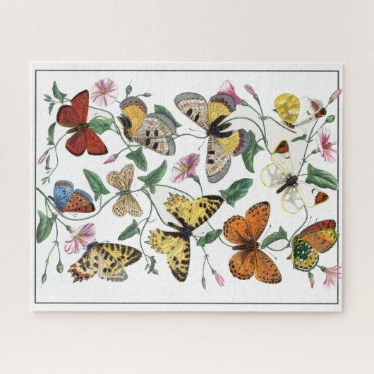 Vlinder & Moth Le Jardin Des Plantes Gervais Legpuzzel (Horizontaal)