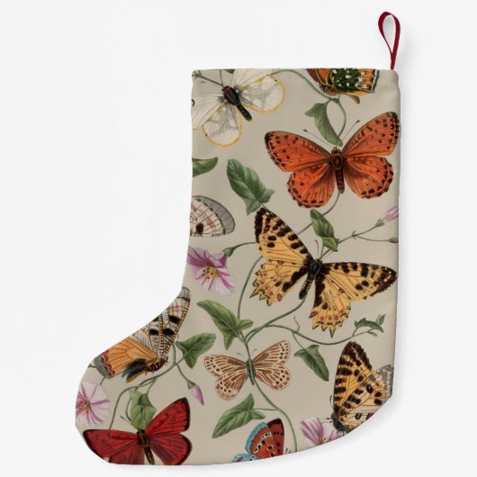 Vlinder Moth Natuur Collectie Tekening Kleine Kerstsok (Achterkant)