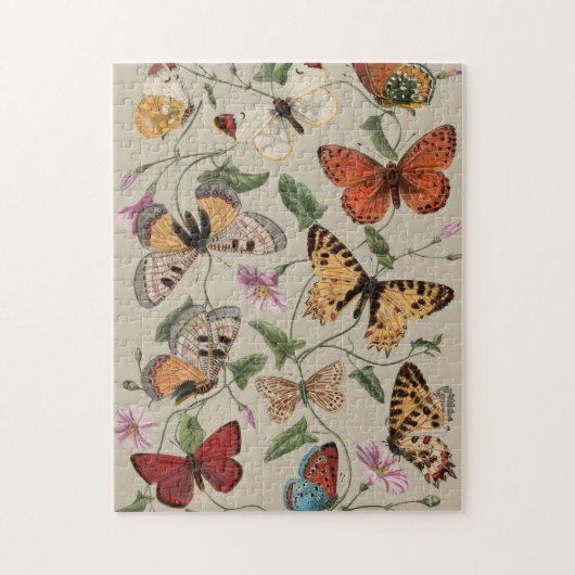 Vlinder Moth Natuur Collectie Tekening Legpuzzel (Verticaal)