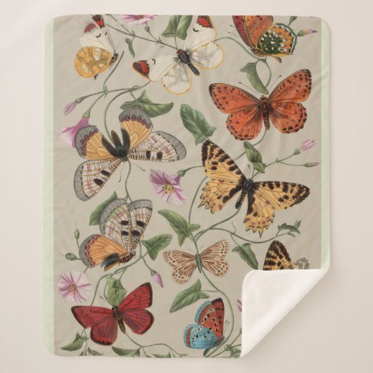 Vlinder Moth Natuur Collectie Tekening Sherpa Deken (Voorkant)