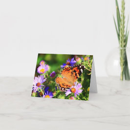 Vlinder op Aster bloemen briefkaart/wenskaart Kaart