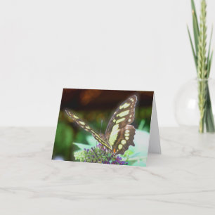 Vlinder op bloem Natuurfotografie Notitiekaartje