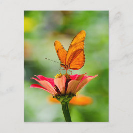 Vlinder op een Bloem Briefkaart