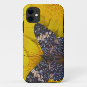 Vlinder op een Gele Bloem iPhone 11 Hoesje