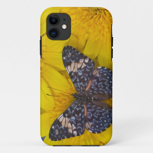 Vlinder op een Gele Bloem Case-Mate iPhone Case (Achterkant)
