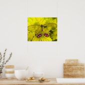 Vlinder op Geel Poster (Keuken)