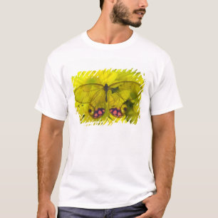Vlinder op Geel T-shirt