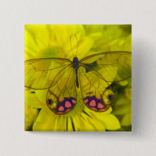 Vlinder op Geel Vierkante Button 5,1 Cm
