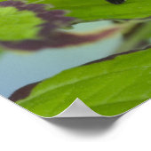 Vlinder op Groen Poster (Hoek)