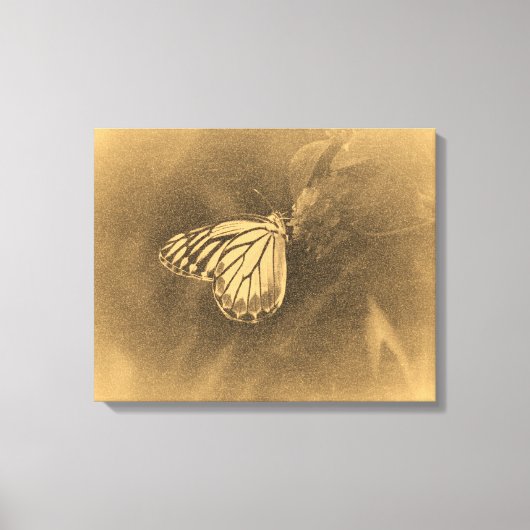 vlinder op het verloopdoek canvas afdruk (Voorkant)