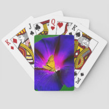 Vlinder op Morning Glory