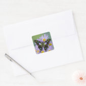 Vlinder op Paarse bloem Vierkante Sticker (Envelop)