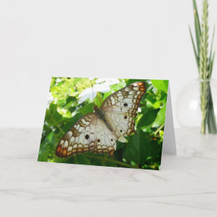 Vlinder op tropische jasmijn-natuurfotografie kaart
