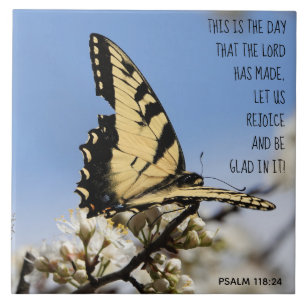 Vlinder op witte bloesem, vers Psalm 118:2 Tegeltje