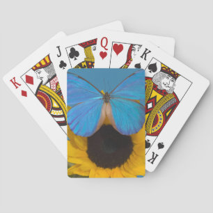 Vlinder op zonnebloem pokerkaarten