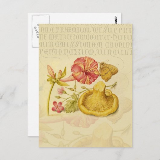 Vlinder Paddestoel Bloem Waterverf Schilderij Briefkaart (Voorkant / Achterkant)