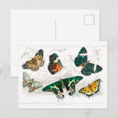 vlinder Papillon oude illustratie Briefkaart (Voorkant / Achterkant)
