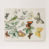 vlinder Papillon oude illustratie Legpuzzel (Horizontaal)