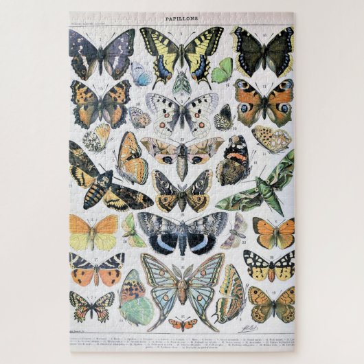  vlinder Papillon oude illustratie Legpuzzel (Verticaal)