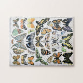  vlinder Papillon oude illustratie Legpuzzel (Horizontaal)