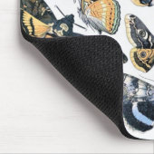  vlinder Papillon oude illustratie Muismat (Hoek)