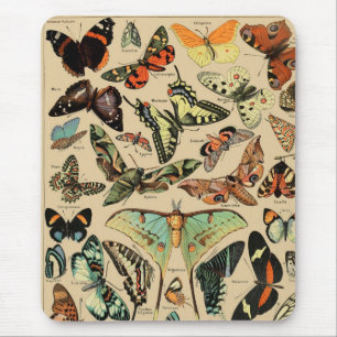  vlinder/papillons muismat
