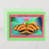 Vlinder Posed Briefkaart (Voorkant / Achterkant)