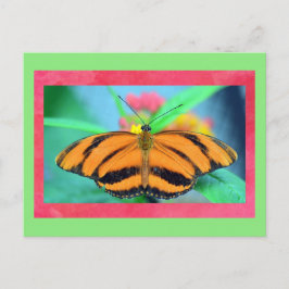 Vlinder Posed Briefkaart