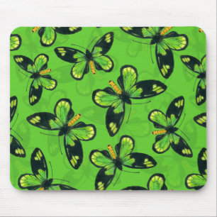 Vlinder Queen Victoria's birdwing Muismat