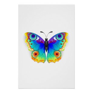 Vlinder Regenboog Pauwenoog Perfect Poster