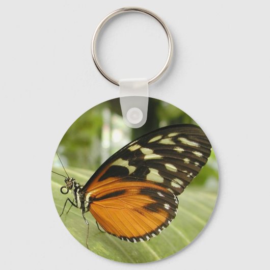 vlinder sleutelhanger (Voorkant)