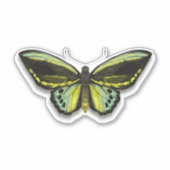 Vlinder  sticker (Voorkant)