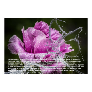 Vlinder symboliek Poster Perfect Poster