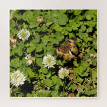 Vlinder Tussen Bloemen