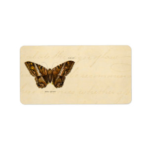  vlinder van de 1800's bruine Sjabloon van de Moth Etiket
