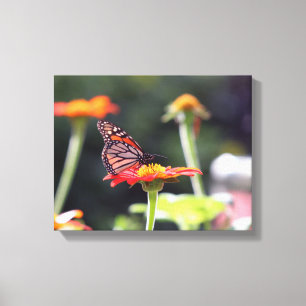 vlinder verpakt canvas afdruk