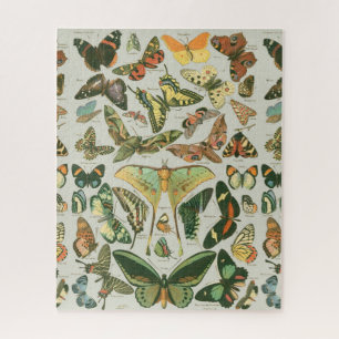 Vlinder Vintage Patroon Vlinders Schilderij Legpuzzel