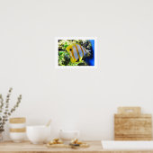 Vlinder vis poster (Keuken)