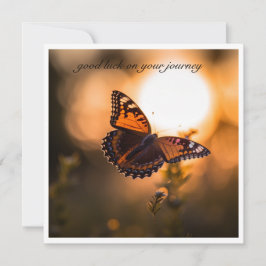 Vlinder vliegend in de zonsondergang, klantgericht