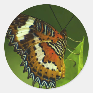 Vlinder zittend op een verlof ronde sticker
