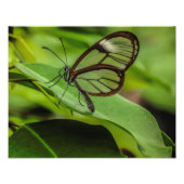 Vlinderafdruk wissen foto afdruk (Voorkant)