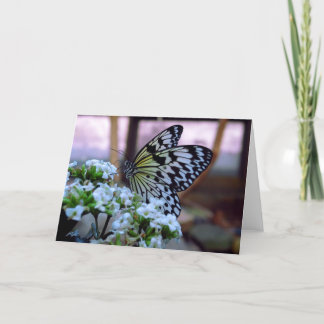 vlinderblanco Kaart