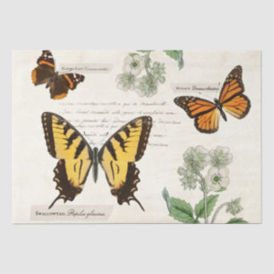 vlinderbloemetjesmonarch gekleurde Dame Tissuepapier