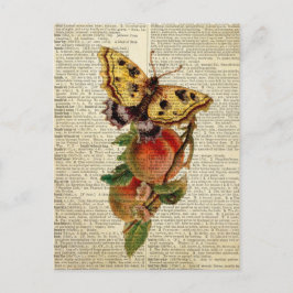 vlinderbloemig  woordenboek briefkaart