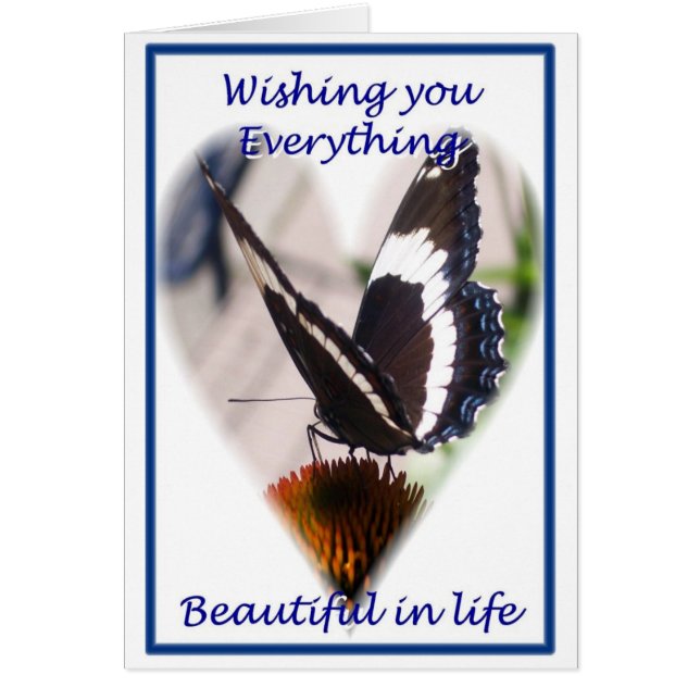 Vlinderbloemigen (Voorkant)