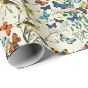 vlinderbloemkool botanisch papier voor de onmidde