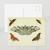 vlindercollage briefkaart (Voorkant / Achterkant)