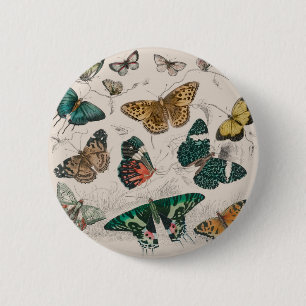 vlindercollectie antieke aquarel kunst vlinder ronde button 5,7 cm